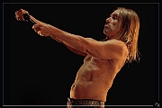 2016-07-29 Iggy Pop